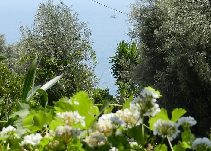 Georgia Maison d'hôtes