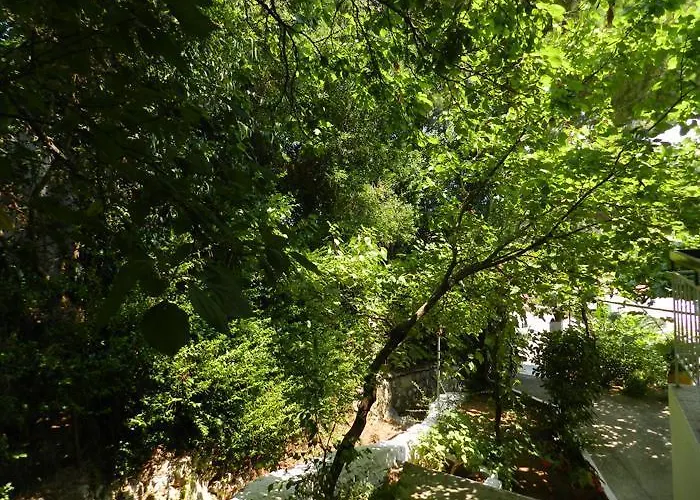 Maison d'hôtes Georgia